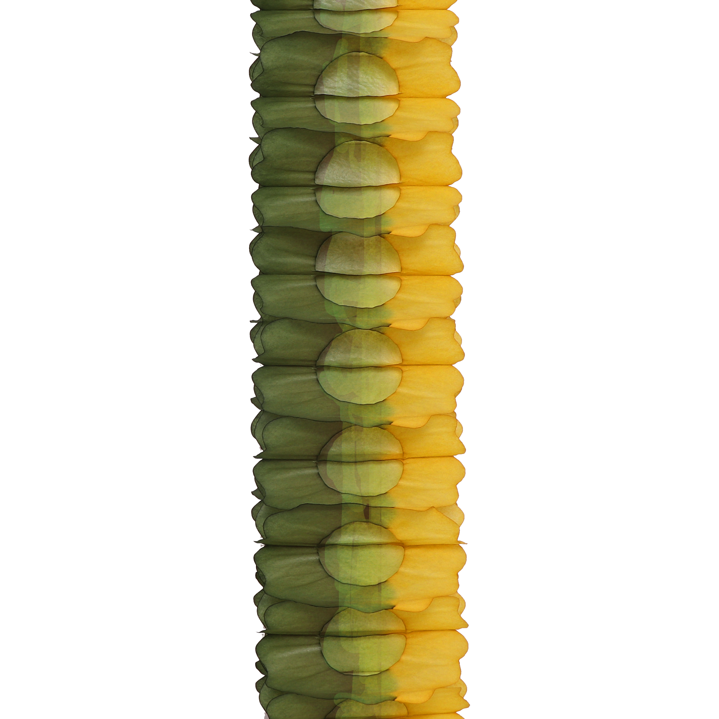 Two-Tone Garland 4m, Moss & Mustard