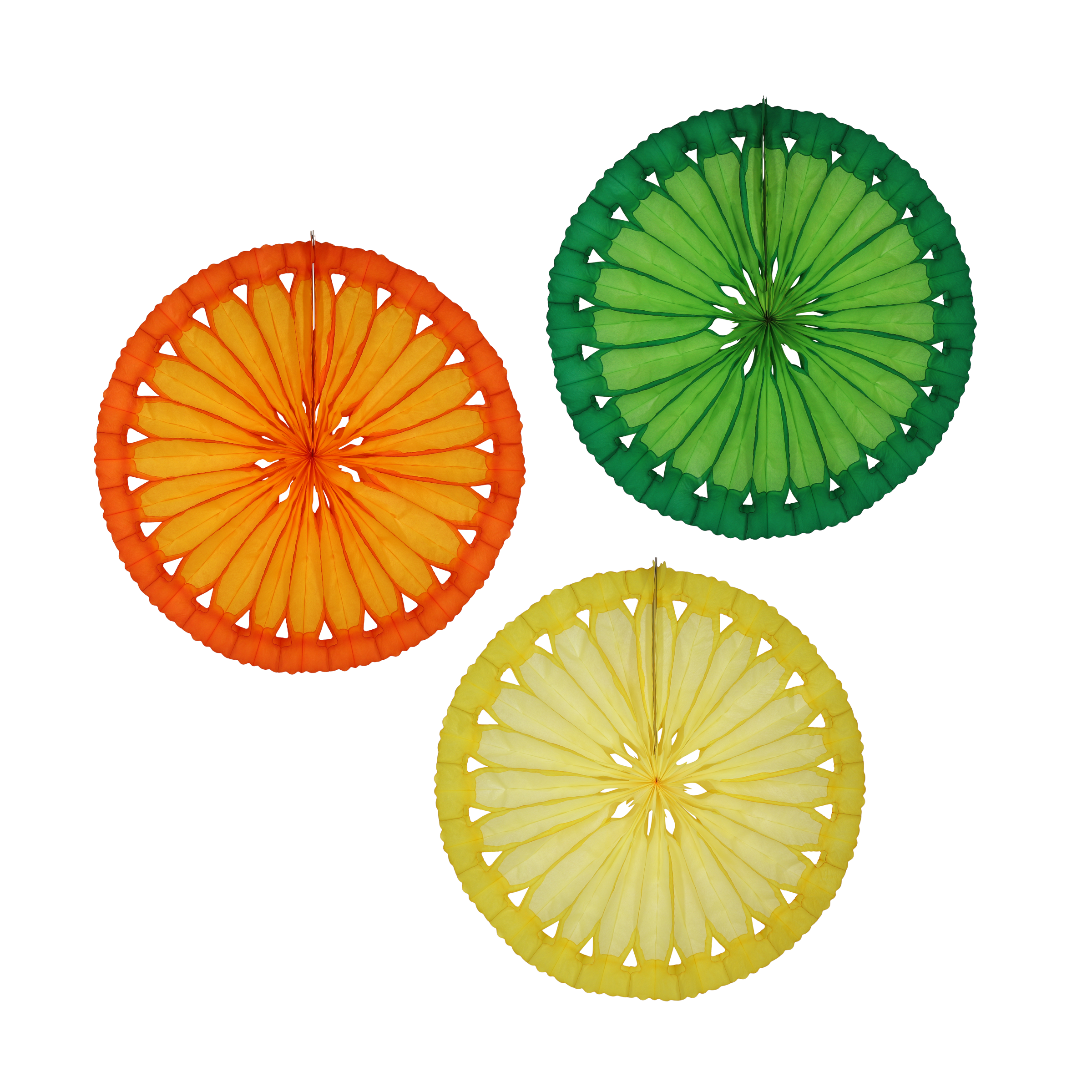 Citrus Slice Fan 40cm, set of 3