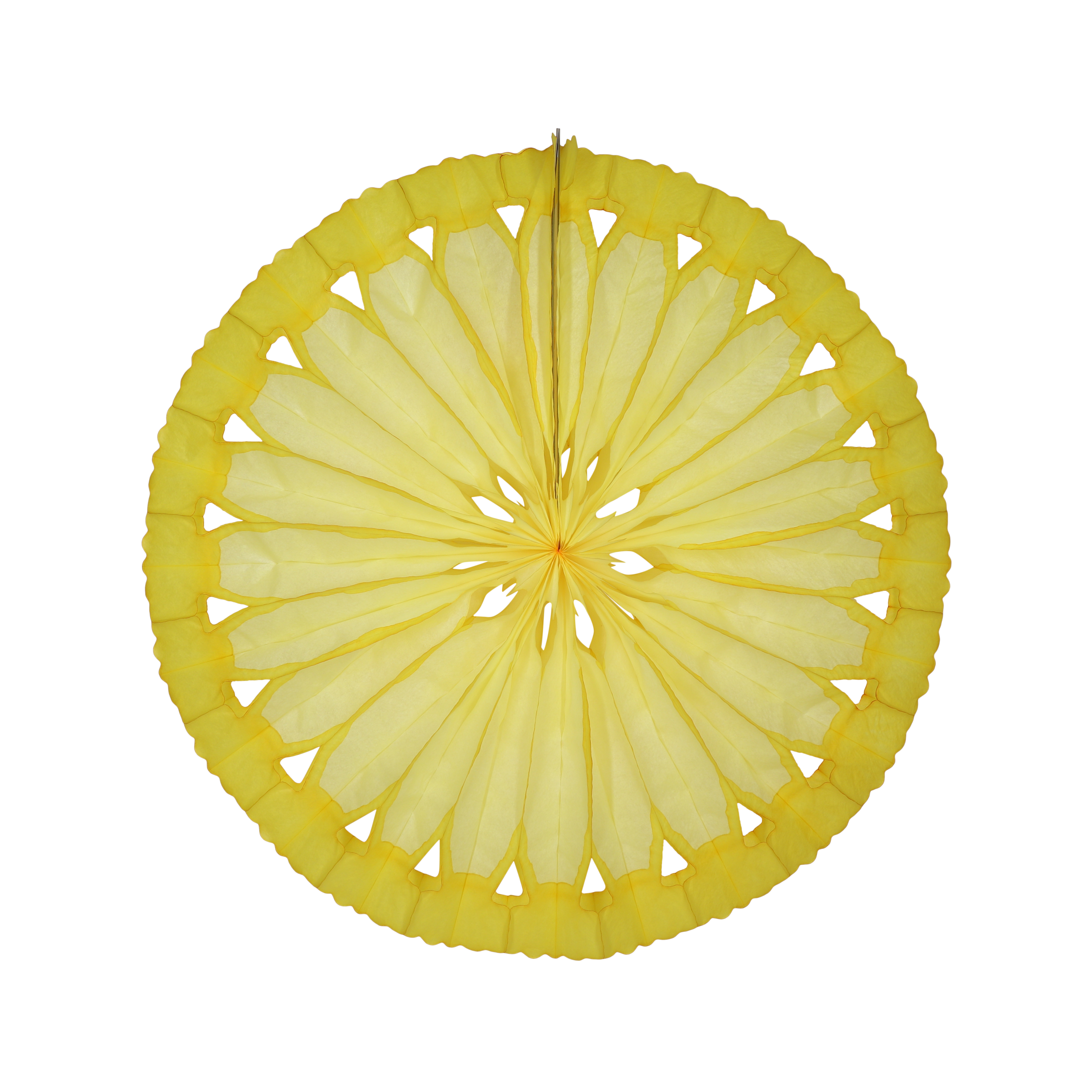 Citrus Slice Fan 40cm, set of 3