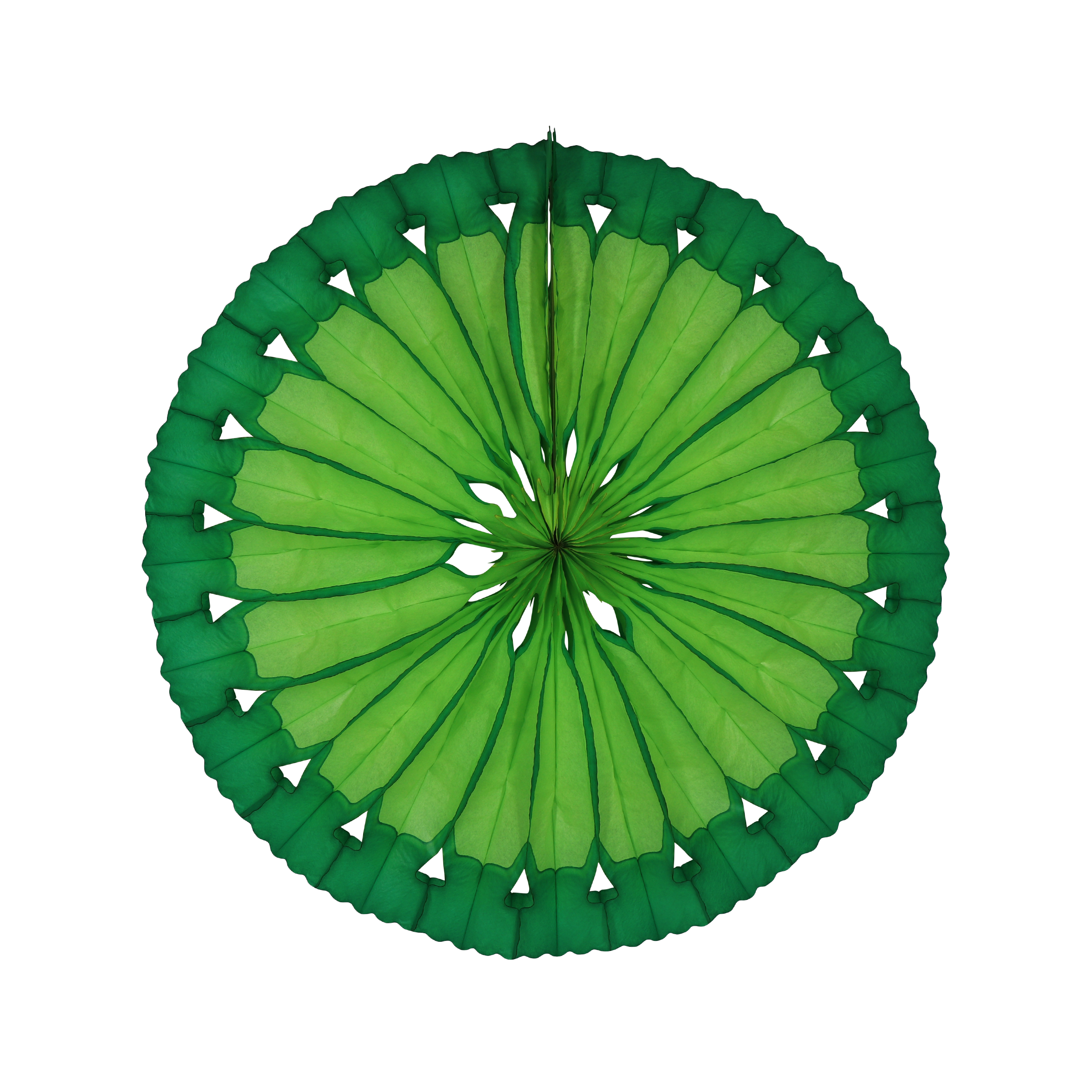 Citrus Slice Fan 40cm, set of 3