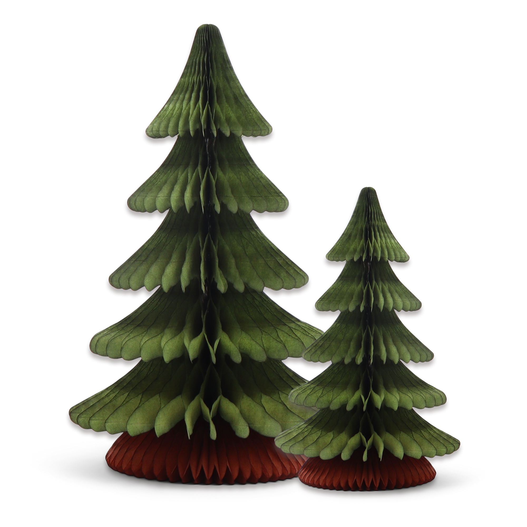 Alpine Tree Moss