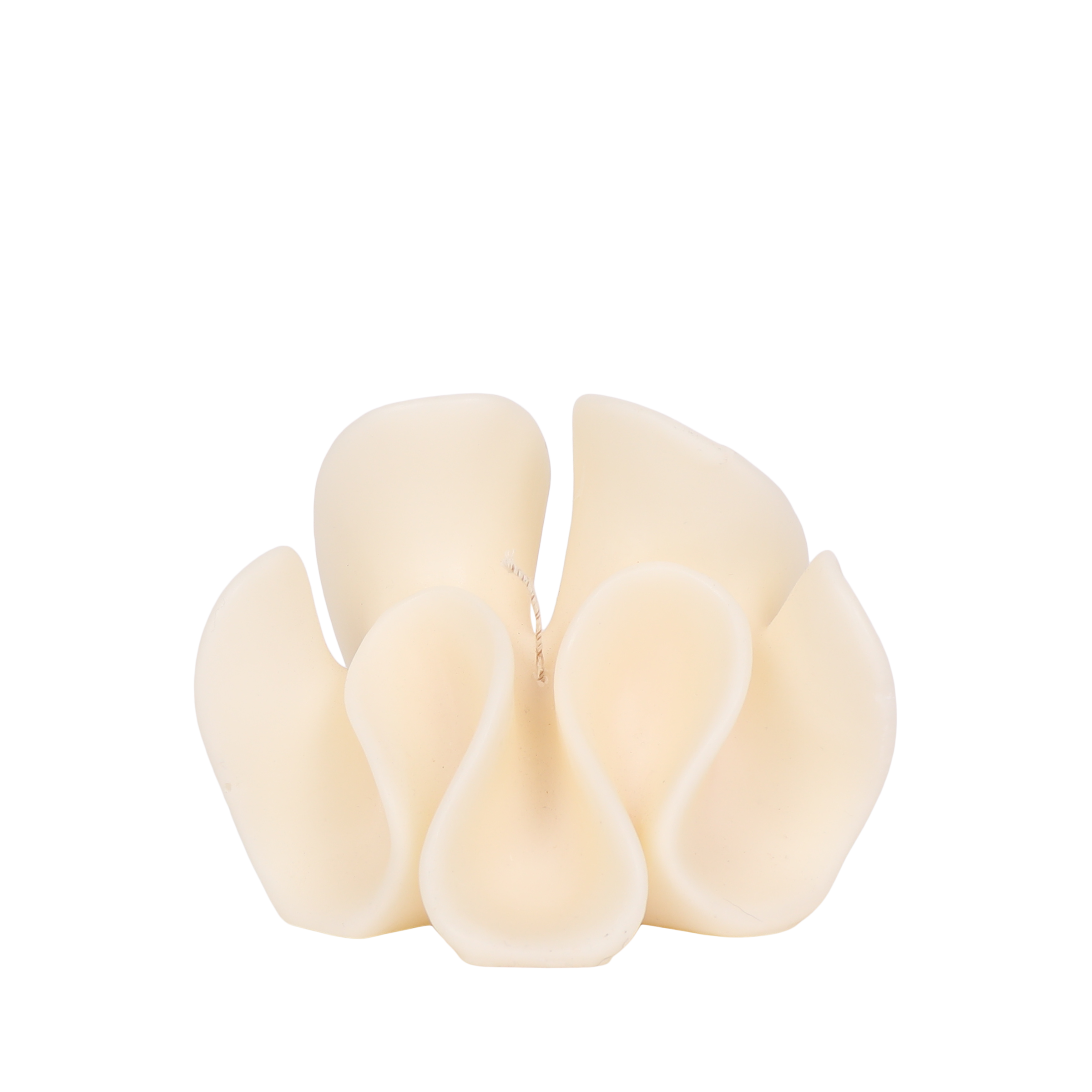 Aurora 'Santal' Candle