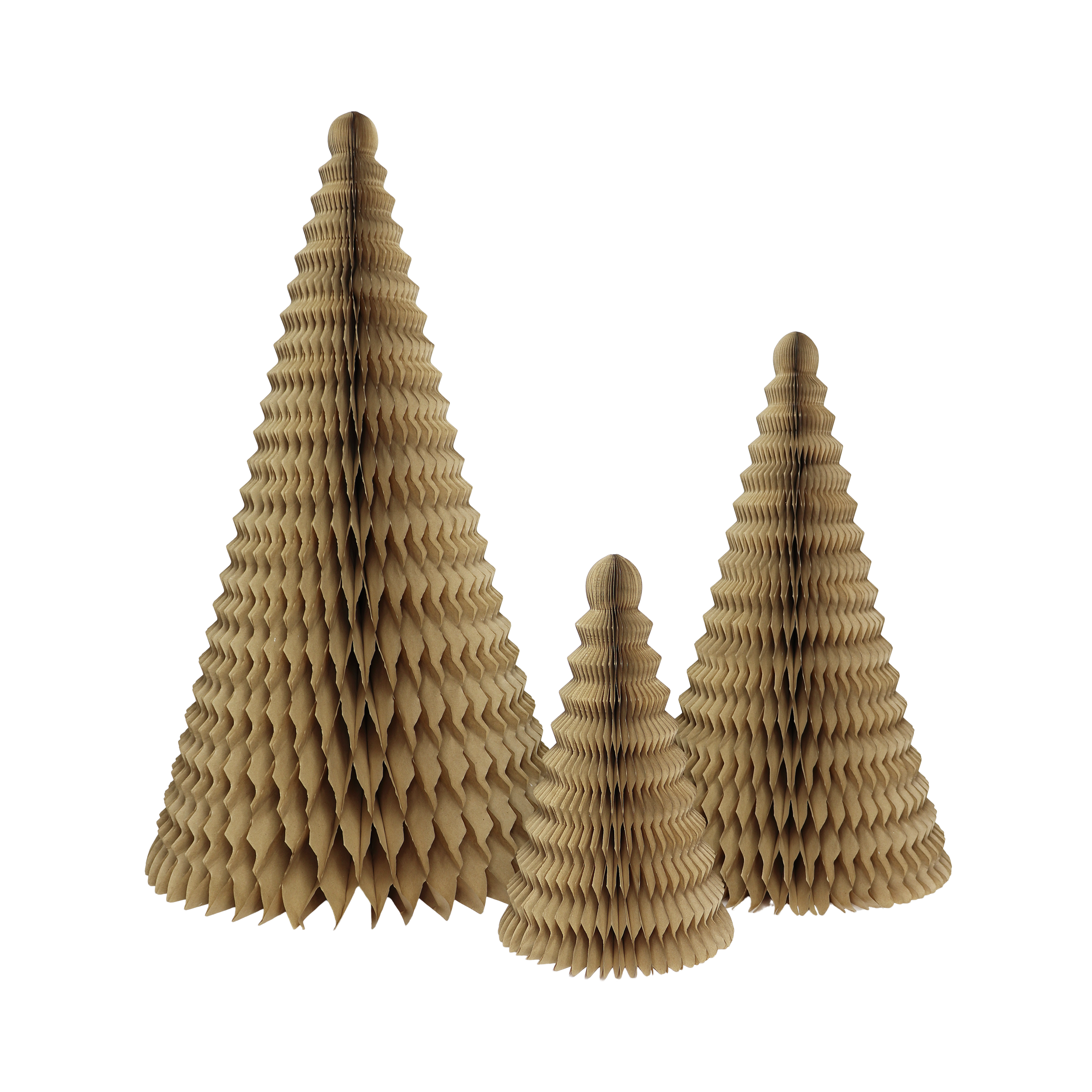 Cone Tree Kraft