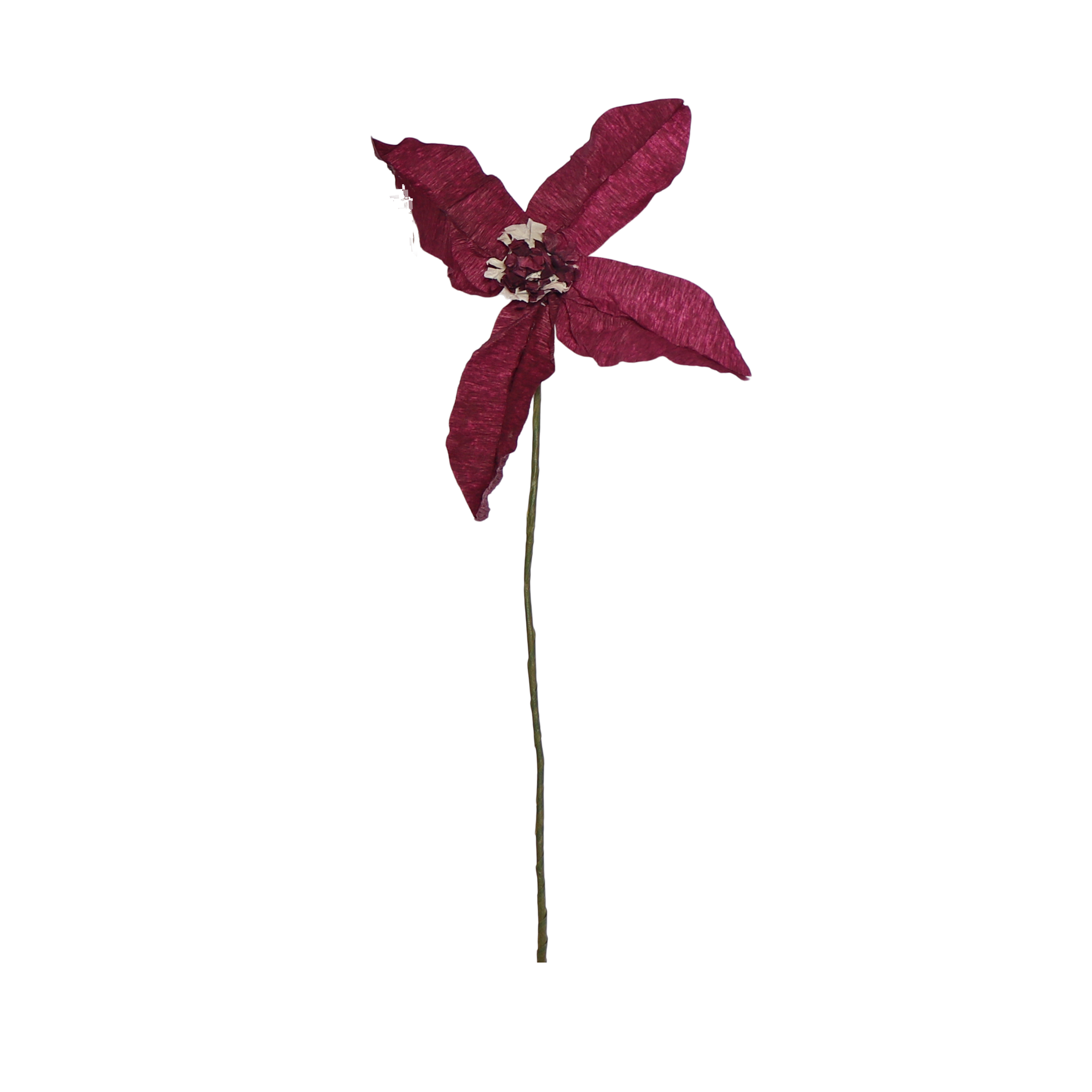Clematis Paper Flower, Aubergine
