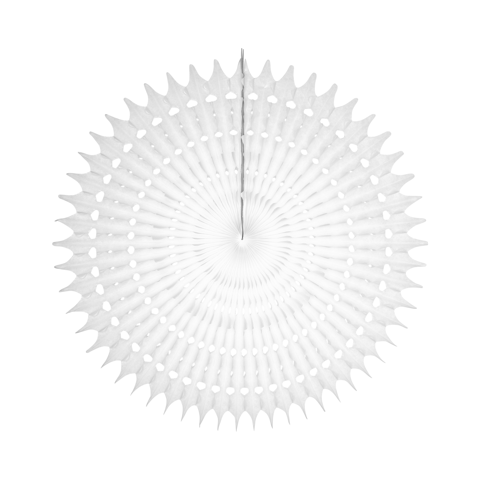 Web Fan 50cm