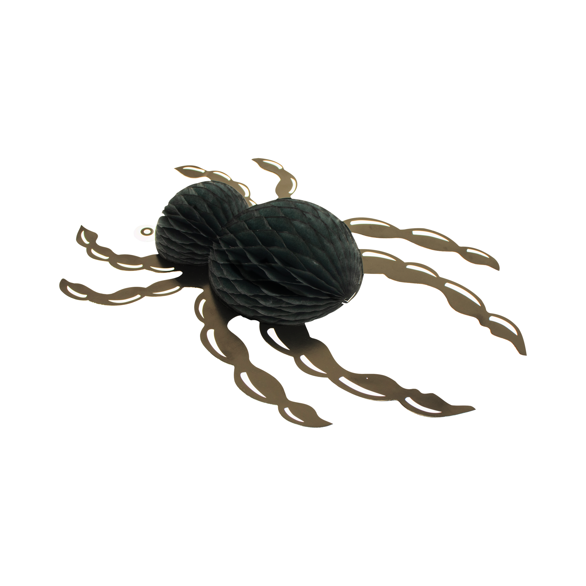 Spider 30cm